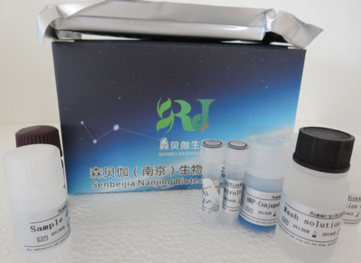 大鼠骨成型蛋白7(BMP-7)ELISA试剂盒生产厂家-产品报价-南京森贝伽生物科技