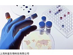 天津大鼠肠组织提取物厂家直销_供应产品_上海科鉴生物科技有限公司